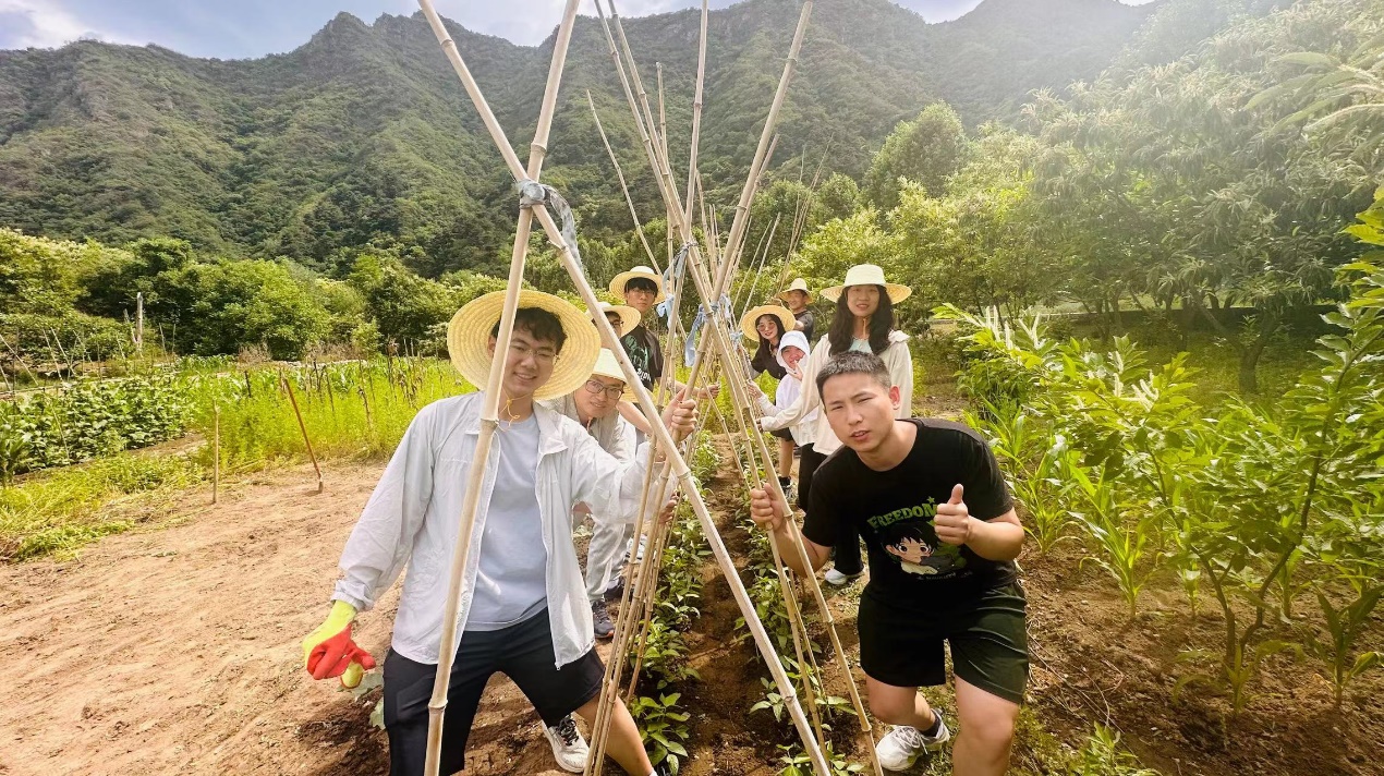 betway西汉姆联官网